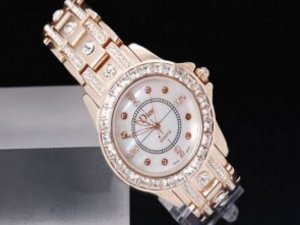 Replica Christian Dior Watch Classic Full Rose Gold with Shell Dial Lady Model